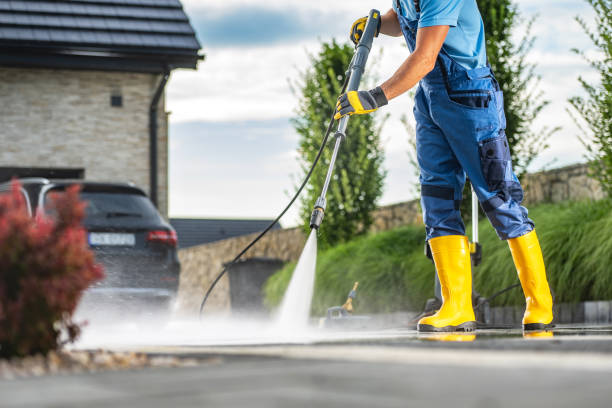 Best Roof Pressure Washing  in Arbuckle, CA
